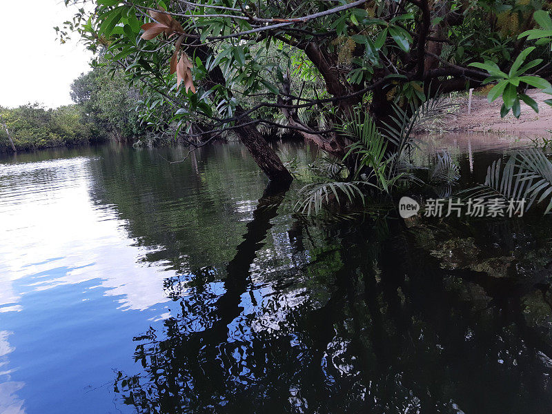 亚马逊地区- TAPAJOS - PARA